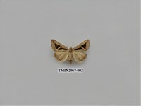 藏品(夜蛾341)的圖片